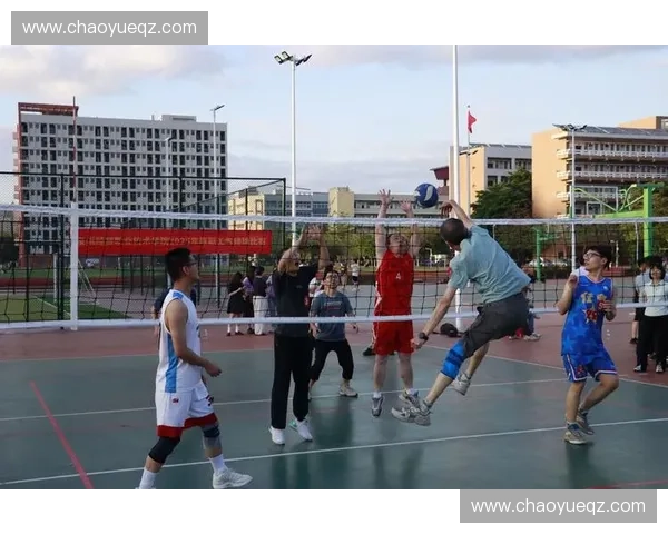 聚焦激情赛场全面呈现高校排球联赛精彩瞬间与运动风采