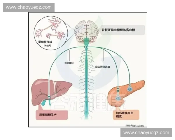 《CSGO假赛风波深度解析：黑幕背后的利益链与职业生态》